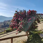A Casa Da Japoneira Cb Holiday home