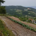 A Casa Da Japoneira Cb * Rebordoes (Braga)