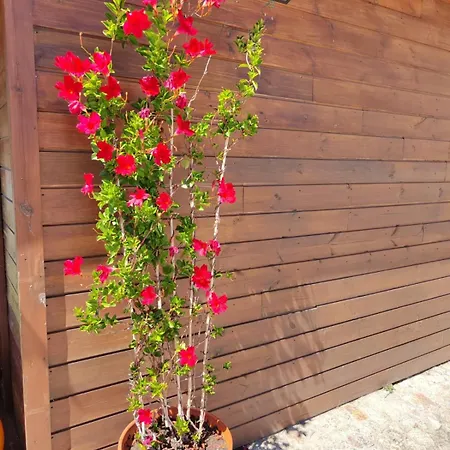 Holiday home A Casa Da Japoneira Cb Rebordoes (Braga)