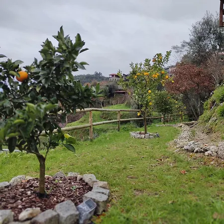 A Casa Da Japoneira Cb