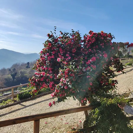 A Casa Da Japoneira Cb Holiday home