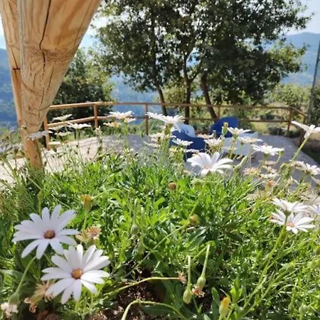 A Casa Da Japoneira Cb Holiday home