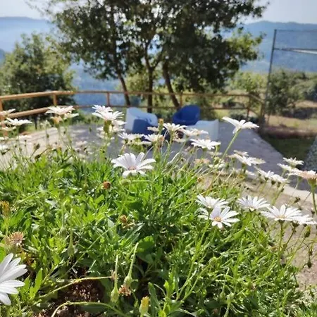 A Casa Da Japoneira Cb Casa de Férias
