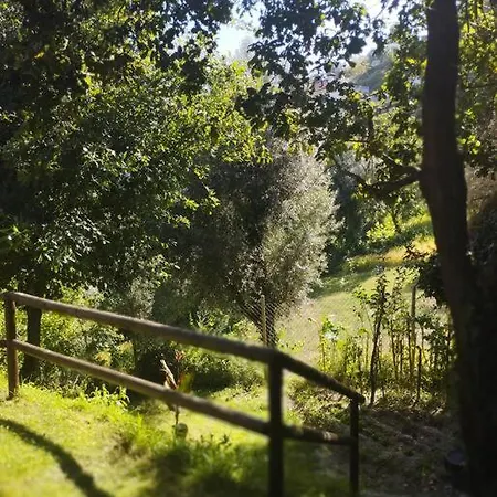 A Casa Da Japoneira Cb Holiday home Rebordoes (Braga)