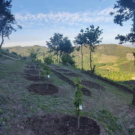 A Casa Da Japoneira Cb Casa de Férias *