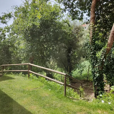 A Casa Da Japoneira Cb * Rebordoes (Braga)