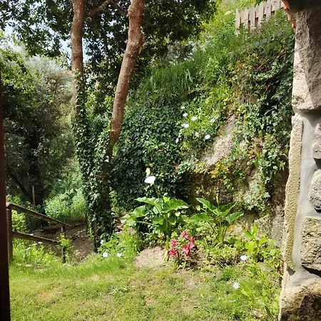 펜션 A Casa Da Japoneira Cb *