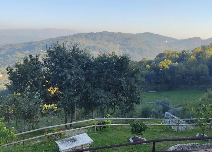 A Casa Da Japoneira Cb Сasa de vacaciones Rebordoes (Braga)