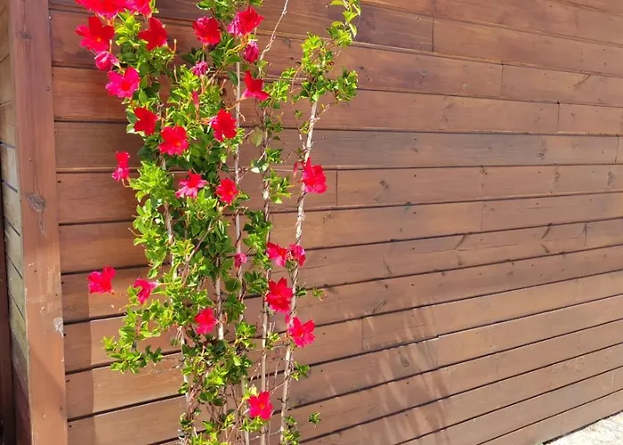 Prázdninový dům A Casa Da Japoneira Cb Rebordoes (Braga)