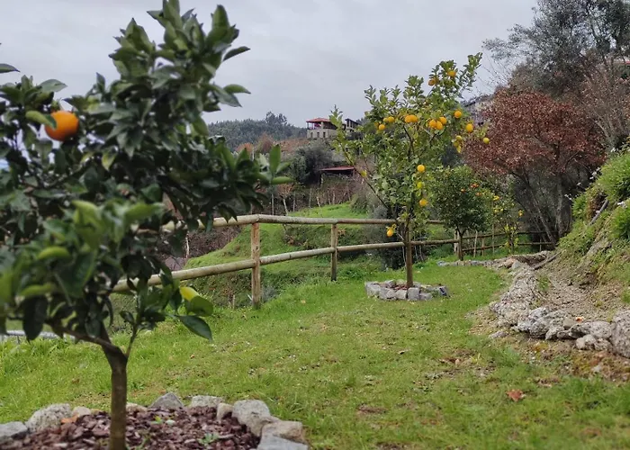 A Casa Da Japoneira Cb