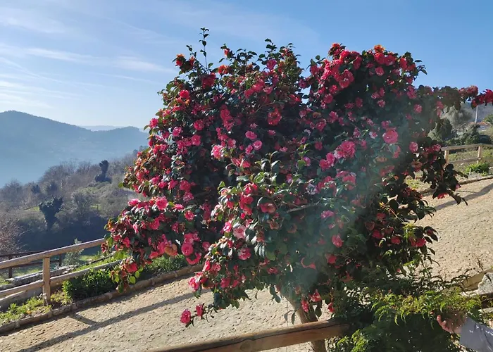 A Casa Da Japoneira Cb 펜션