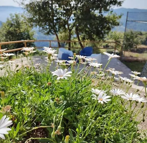 A Casa Da Japoneira Cb Prázdninový dům *