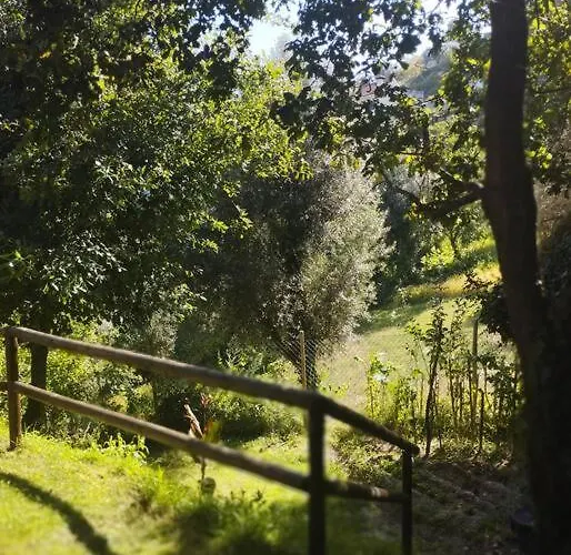 A Casa Da Japoneira Cb Prázdninový dům Rebordoes (Braga)