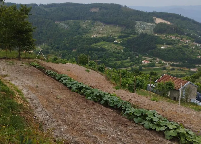A Casa Da Japoneira Cb * Rebordoes (Braga)