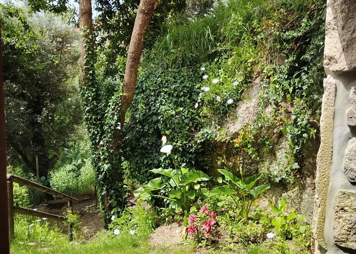 Сasa de vacaciones A Casa Da Japoneira Cb *